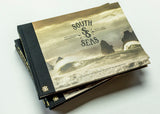 the south seas: nz's best surf - revised edition