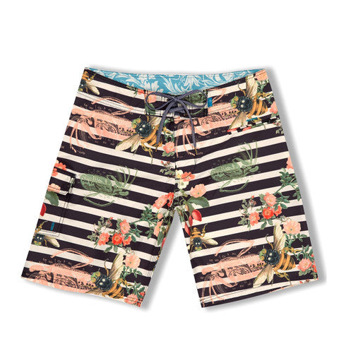 endangered bee pirate blighty boardshorts