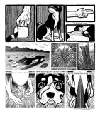 the heading dog that split in half