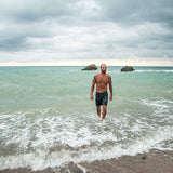 seaweed black blighty boardshorts