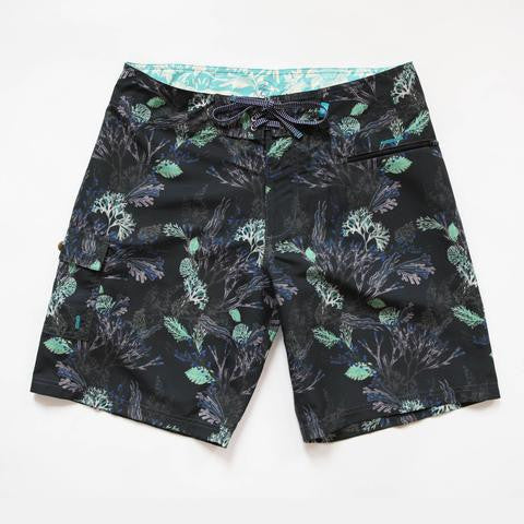 seaweed black blighty boardshorts