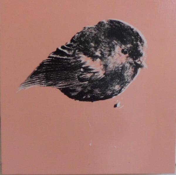 pink chatham island robin