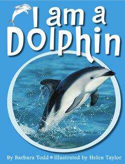 i am a dolphin
