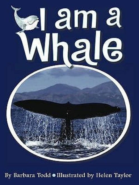 i am a whale