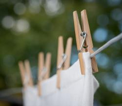 bamboo clothes pegs - 100% biodegradable