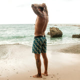 waves aqua burgh boardshorts